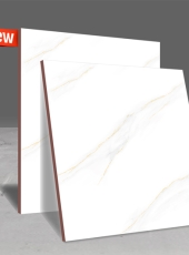Gạch lát nền DPL502