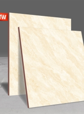 Gạch lát nền DPL508