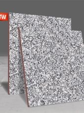 Gạch lát nền DPL509