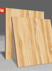 Gạch lát nền DPL512
