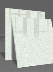 Gạch lát nền DPL604