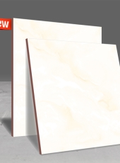 Gạch lát nền TTN5705