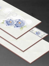 Gạch ốp tường DPL36205