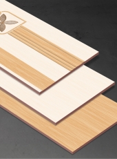 Gạch ốp tường NHP3652