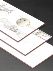 Gạch ốp tường NHP3653