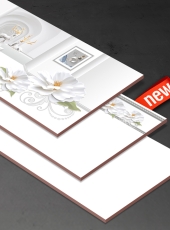 Gạch ốp tường THP36900