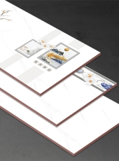 Gạch ốp tường PA4804V3D3
