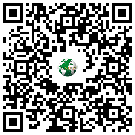 gach-op-tuong-dpl36201